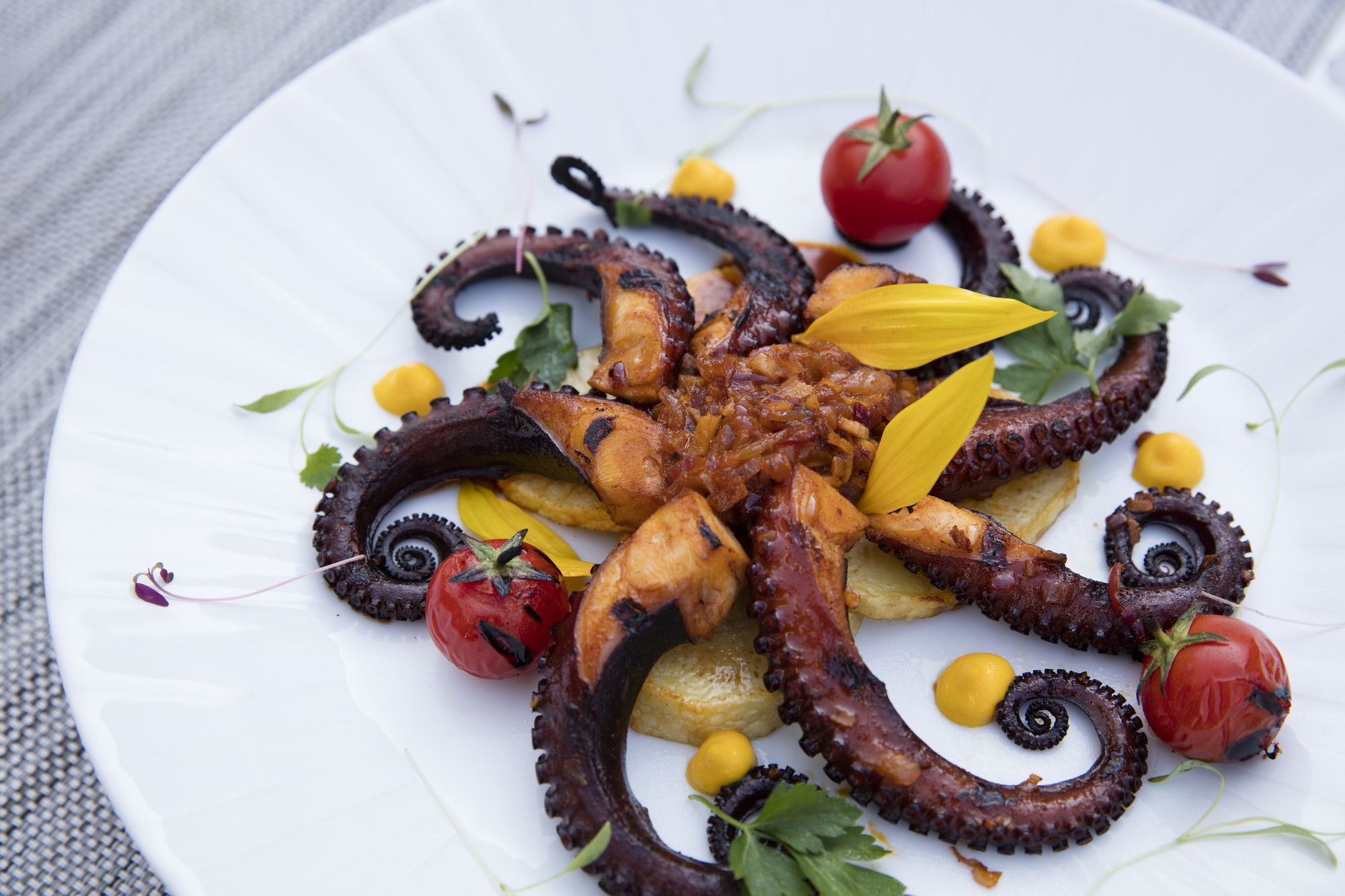 玛丽亚·巴巴拉克里斯托卫星酒店 Tlalnepantla  外观 照片 Octopus